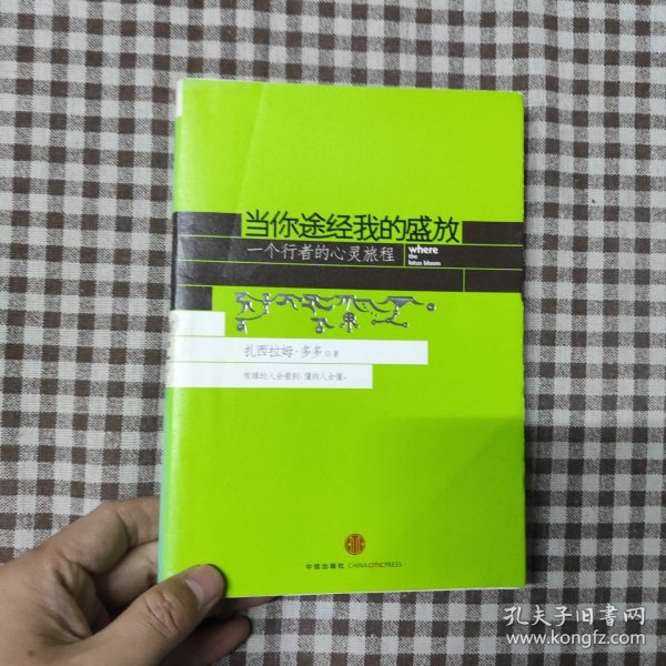 当你途经我的盛放:—一个行者的心灵旅程