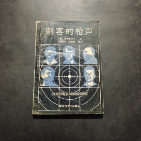 刺客的枪声