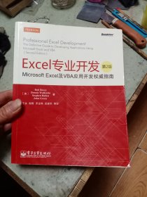 Excel专业开发：Microsoft Excel及VBA应用开发权威指南