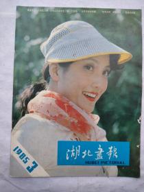 湖北画报1985年3