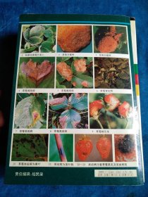 原色西瓜甜瓜草莓病虫与营养诊断图谱