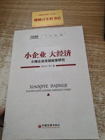 智库丛书·小企业 大经济：小微企业发展政策研究