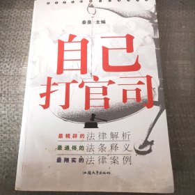 自己打官司