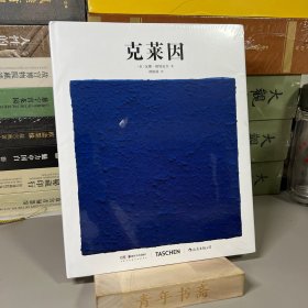 基础艺术史07：克莱因