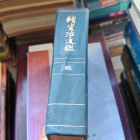 续资治通鉴【第三册】3