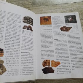 世界矿物与宝石探寻鉴定百科