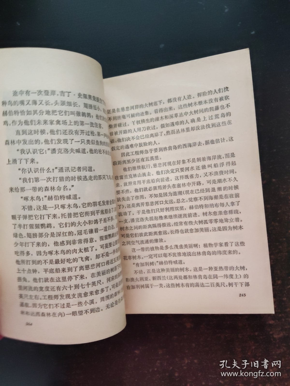 神秘岛 第二部 荒岛上的人
