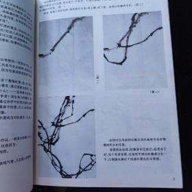 中国画自学丛书：怎样画没骨法牡丹、怎样画葡萄、怎样画荷花【3本合售】