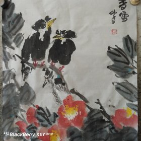 香雪