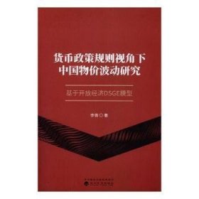 货币政策规则视角下中国物价波动研究：基于开放经济DSGE模型