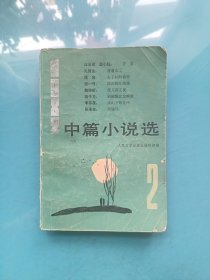 1982中篇小说选 2