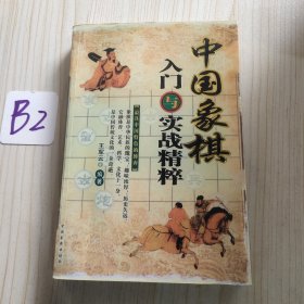 中国象棋入门与实战精粹