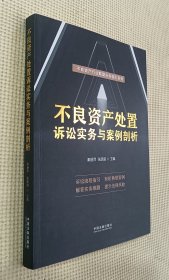 不良资产处置诉讼实务与案例剖析