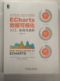 ECharts数据可视化：入门、实战与进阶