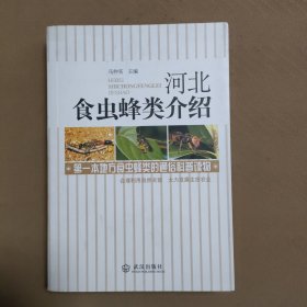 河北食虫蜂类介绍