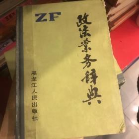 政法业务辞典