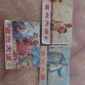 连环画：金光大道（1、2、4）共三本人民美术出版社出版