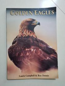 GOLDEN EAGLES