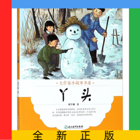 丫頭/大作家小故事書系