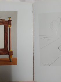 Hockney's Pictures(145—176页书脊有脱胶。请谨慎下单,售后不退,请勿议价,非诚勿扰。)塑柜四层
