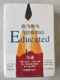 你当像鸟飞往你的山