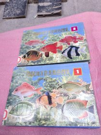 中国海洋鱼类原色图集(1-2)
