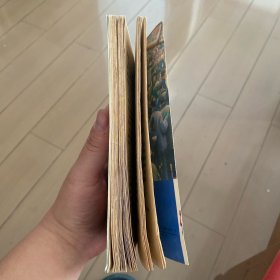 竹林村纪事