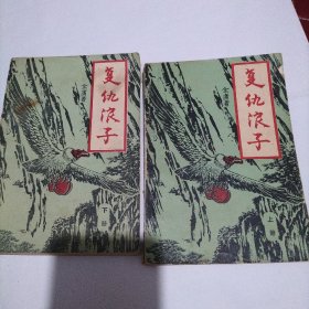 复仇浪子(上下)武侠