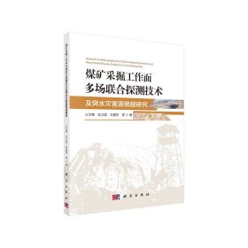 【正版书籍】煤矿采掘工作面多场联合探测技术