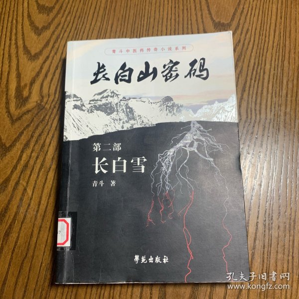 长白山密码（第二部）：长白雪