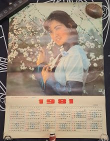 影片《神秘的大佛》中的梦婕（刘晓庆）1981年年历