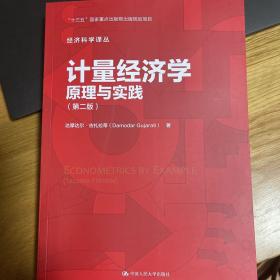 计量经济学：原理与实践（第二版）/经济科学译丛