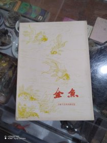 金鱼