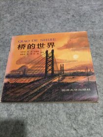 桥的世界