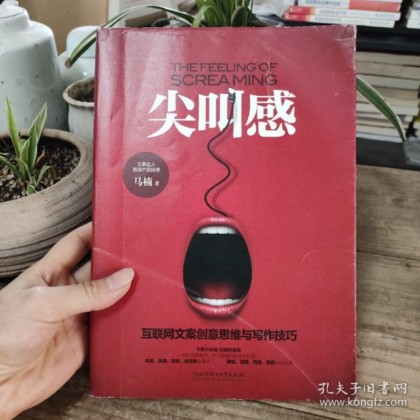 尖叫感：互联网文案创意思维与写作技巧