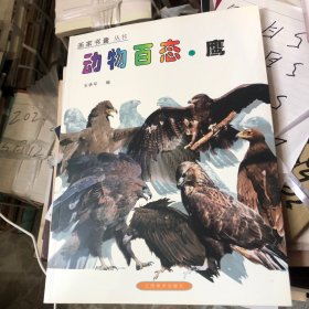 动物百态.鹰