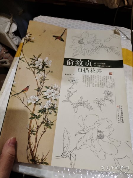 俞致贞白描花卉