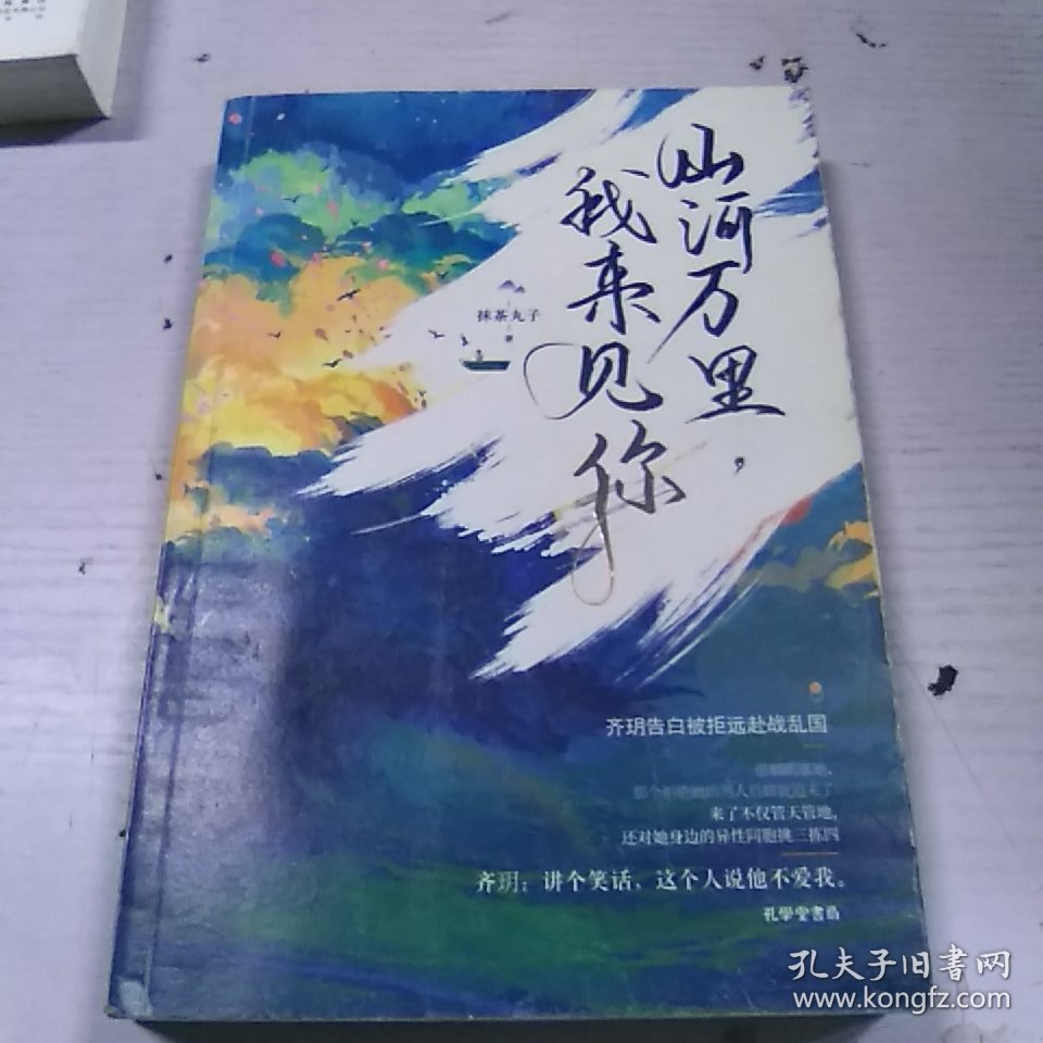 山河万里，我来见你