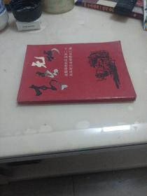 青春无悔:成都知青赴滇支边二十周年纪念活动资料汇编