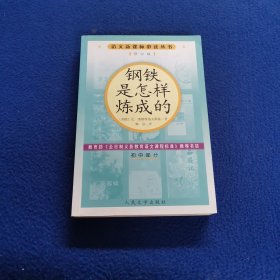 .钢铁是怎样炼成的.