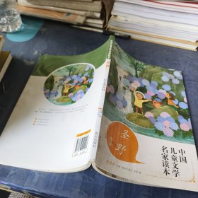 中国儿童文学名家读本 圣野作品 向太阳问好