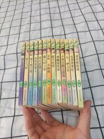花雨系列 口袋版小说 13本合售