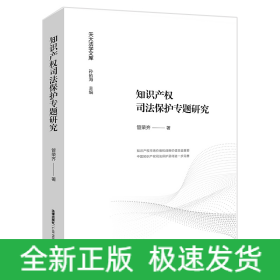 知识产权司法保护专题研究/天大法学文库