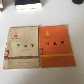 历史知识读物 巴枯宁+卢森堡 (二本合售)