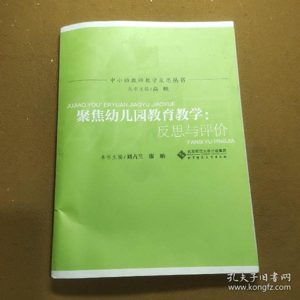 聚焦幼儿园教育教学：反思与评价