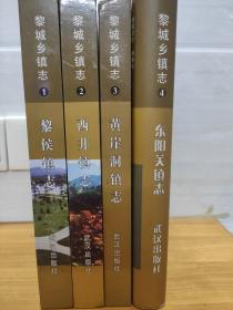 黎城乡镇志(1-4册)