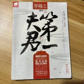 穿越之第一夫君