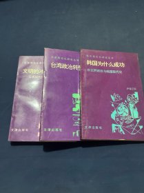东亚现代化研究丛书（文明的冲突与融合）（台湾政治转型之谜）（韩国为什么成功）