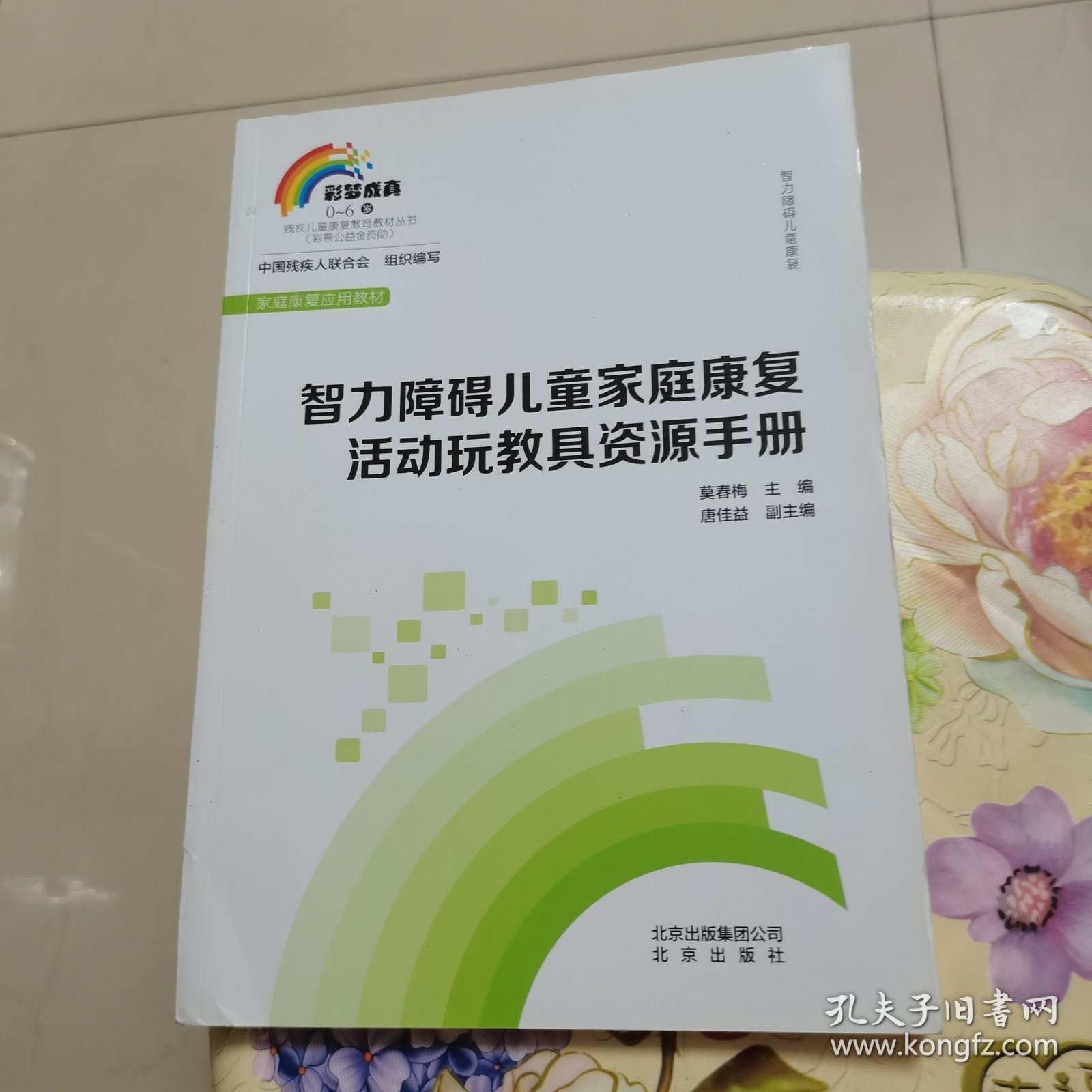 智力障碍儿童家庭康复活动玩教具资源手册