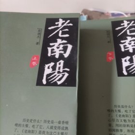 老南阳（套装上下册）